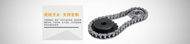 不銹鋼鏈條 不銹鋼鏈條